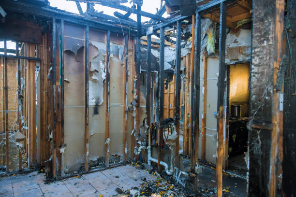 Professional Smoke Damage Removal technician working in Merchantville, NJ
